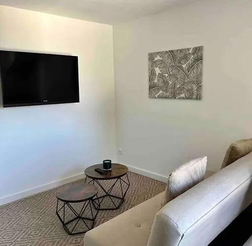 Daire 40m2 Centre De Vichy