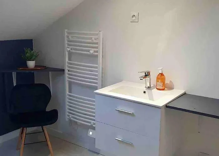 Daire 40m2 Centre De Vichy